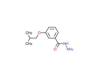 3-Isobutoxybenzohydrazide - chemical structure image