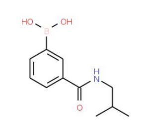 3-(Isobutylaminocarbonyl)phenylboronic acid (CAS 723282-09-5) - chemical structure image