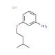 3-(Isopentyloxy)aniline hydrochloride - chemical structure image