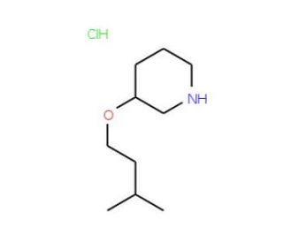 3-(Isopentyloxy)piperidine hydrochloride - chemical structure image