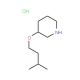 3-(Isopentyloxy)piperidine hydrochloride - chemical structure image