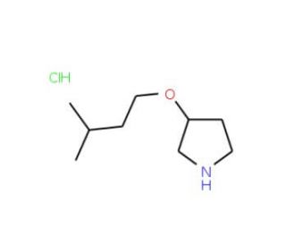 3-(Isopentyloxy)pyrrolidine hydrochloride - chemical structure image