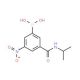 3-(Isopropylcarbamoyl)-5-nitrobenzeneboronic acid (CAS 871332-83-1) - chemical structure image