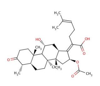 3-Keto Fusidic Acid (CAS 4680-37-9) - chemical structure image