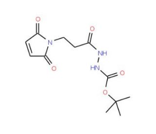 3-(Maleimidopropane-1-carbonyl-1-(tert-butyl)carbazate (CAS 1076198-38-3) - chemical structure image