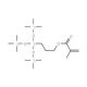 3-(Methacryloyloxy)propyltris(trimethylsiloxy)silane (CAS 17096-07-0) - chemical structure image
