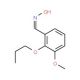 3-Methoxy-2-propoxybenzaldehyde oxime (CAS 41828-04-0) - chemical structure image