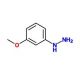3-Methoxyphenylhydrazine hydrochloride (CAS 39232-91-2) - chemical structure image