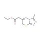 (3-Methyl-7H-[1,2,4]triazolo[3,4-b][1,3,4]thiadiazin-6-yl)-acetic acid ethyl ester - chemical structure image