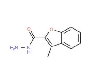 3-Methyl-benzofuran-2-carboxylic acid hydrazide (CAS 53524-81-5) - chemical structure image