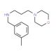 (3-Methyl-benzyl)-(3-morpholin-4-yl-propyl)-amine - chemical structure image