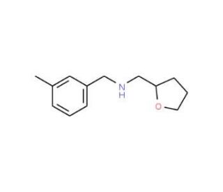 (3-Methyl-benzyl)-(tetrahydro-furan-2-ylmethyl)-amine (CAS 356530-65-9) - chemical structure image