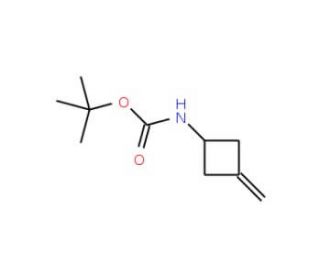 (3-Methylenecyclobutyl)carbamic acidtert-butyl ester (CAS 130369-04-9) - chemical structure image