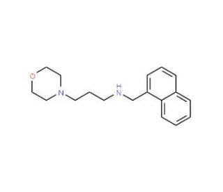 (3-Morpholin-4-yl-propyl)-naphthalen-1-ylmethyl-amine - chemical structure image
