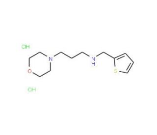 (3-Morpholin-4-yl-propyl)-thiophen-2-ylmethyl-amine dihydrochloride - chemical structure image