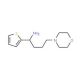 (3-Morpholin-4-yl-propyl)-thiophen-2-ylmethyl-amine - chemical structure image