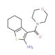 3-(Morpholin-4-ylcarbonyl)-4,5,6,7-tetrahydro-1-benzothien-2-ylamine (CAS 554405-87-7) - chemical structure image