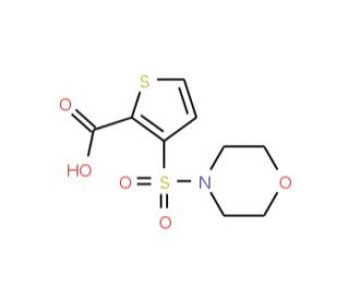 3-(morpholin-4-ylsulfonyl)thiophene-2-carboxylic acid - chemical structure image