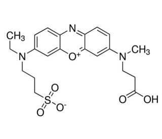 3-[N-(2-Carboxyethyl)methylamino]-7-[N-ethyl(3-sulfonatopropyl)amino]phenoxazin-5-ium Sodium (CAS 343257-52-3) - chemical str