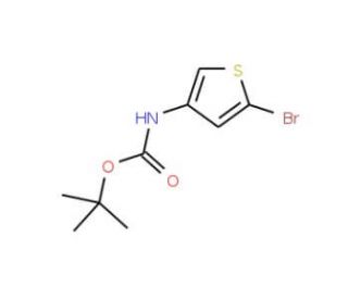 3-N-Boc-amino-5-bromothiophene (CAS 494833-75-9) - chemical structure image