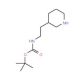 3-(N-Boc-aminoethyl)-piperidine (CAS 215305-98-9) - chemical structure image