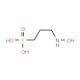 3-(N-Hydroxyamino)propyl Phosphonate (CAS 66508-11-0�) - chemical structure image