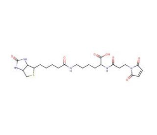 3-(N-Maleimidylpropionyl)biocytin (CAS 102849-12-7) - chemical structure image