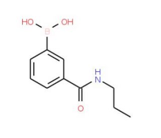 3-(N-Propylaminocarbonyl)benzeneboronic acid (CAS 850567-22-5) - chemical structure image