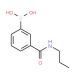 3-(N-Propylaminocarbonyl)benzeneboronic acid (CAS 850567-22-5) - chemical structure image