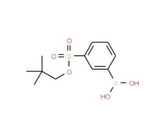 3-(Neopentyloxysulfonyl)phenylboronic acid (CAS 951233-64-0) - chemical structure image