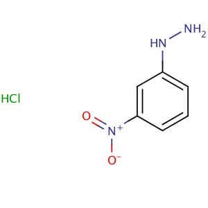 3-Nitrophenylhydrazine hydrochloride | CAS 636-95-3 | SCBT