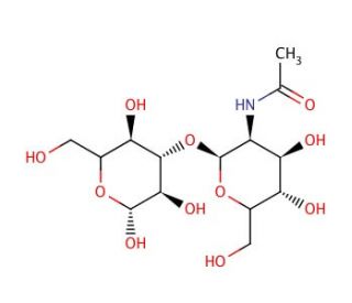 3-O-[2-Acetamido-2-deoxy-&beta;-D-glucopyranosyl]-D-mannopyranose (CAS 210036-24-1) - chemical structure image