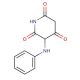 3-Phenylamino-piperidine-2,4,6-trione - chemical structure image