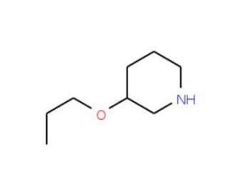 3-Propoxy-piperidine (CAS 89122-72-5) - chemical structure image