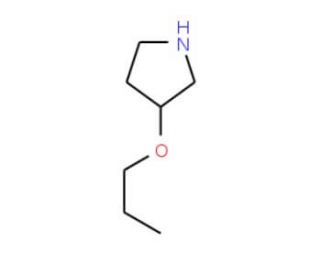 3-Propoxypyrrolidine (CAS 946681-61-4) - chemical structure image