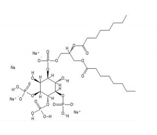 3-PT-PtdIns (3,4,5)-P<sub>3</sub> (1,2-dioctanoyl), sodium salt - chemical structure image