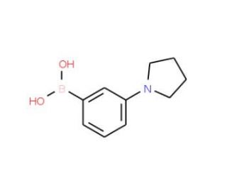 3 Pyrrolidino Phenylboronic Acid Cas 1347 75 3 Scbt Santa Cruz Biotechnology