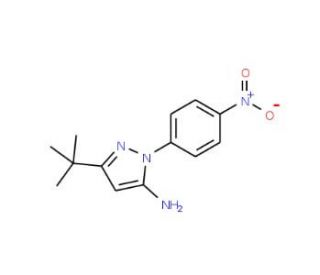 3-tert-Butyl-1-(4-nitrophenyl)-1H-pyrazol-5-amine (CAS 251658-55-6) - chemical structure image