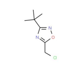 3-(tert-Butyl)-5-(chloromethyl)-1,2,4-oxadiazole - chemical structure image