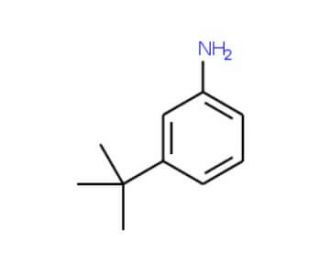 3-(tert-Butyl)aniline (CAS 5369-19-7) - chemical structure image