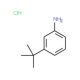 3-(tert-Butyl)aniline hydrochloride (CAS 83672-23-5) - chemical structure image