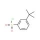 3-tert-Butyl benzenesulfonyl chloride (CAS 2905-26-2) - chemical structure image