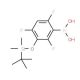 3-(tert-Butyldimethylsilyloxy)-2,4,6-trifluorophenylboronic acid (CAS 1072946-65-6) - chemical structure image