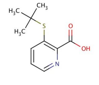 3-tert-Butylthio-2-carboxypyridine (CAS 178811-41-1) - chemical structure image