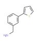 (3-Thien-2-ylphenyl)methylamine (CAS 859850-86-5) - chemical structure image