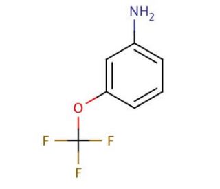 3-(Trifluoromethoxy)aniline (CAS 1535-73-5) - chemical structure image