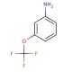 3-(Trifluoromethoxy)aniline (CAS 1535-73-5) - chemical structure image