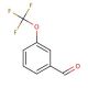3-(Trifluoromethoxy)benzaldehyde (CAS 52771-21-8) - chemical structure image