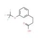 3-(Trifluoromethoxy)hydrocinnamic acid (CAS 168833-77-0) - chemical structure image