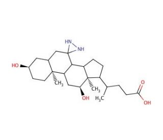 3&alpha;,12-&alpha;-Dihydroxy-7-diazirdinecholanic Acid (CAS 86933-63-3) - chemical structure image
